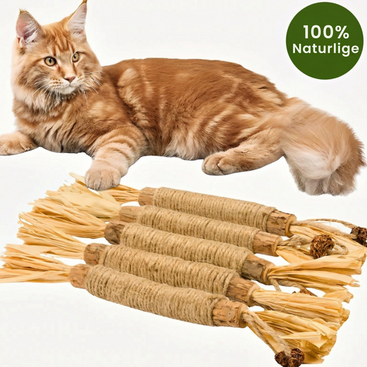 Pjus | Matatabi tandplejepinde