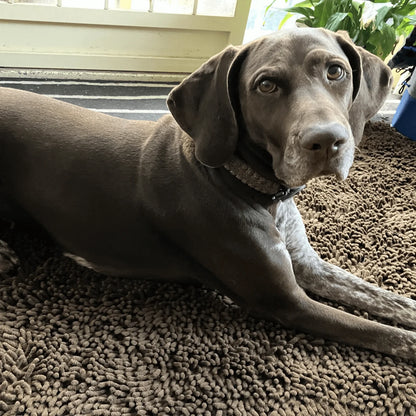 Pjus | dørmåtte til hunde