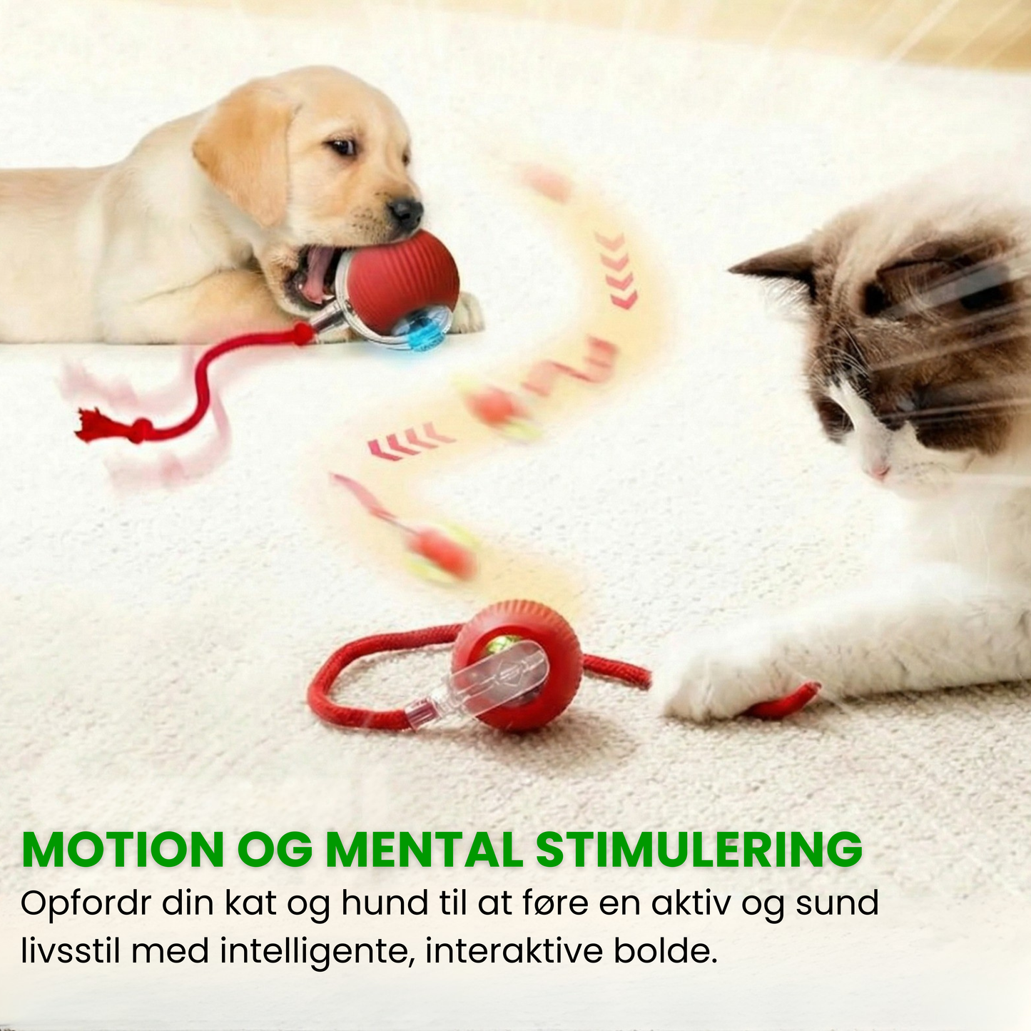 Pjus | Intelligent bold til dyr