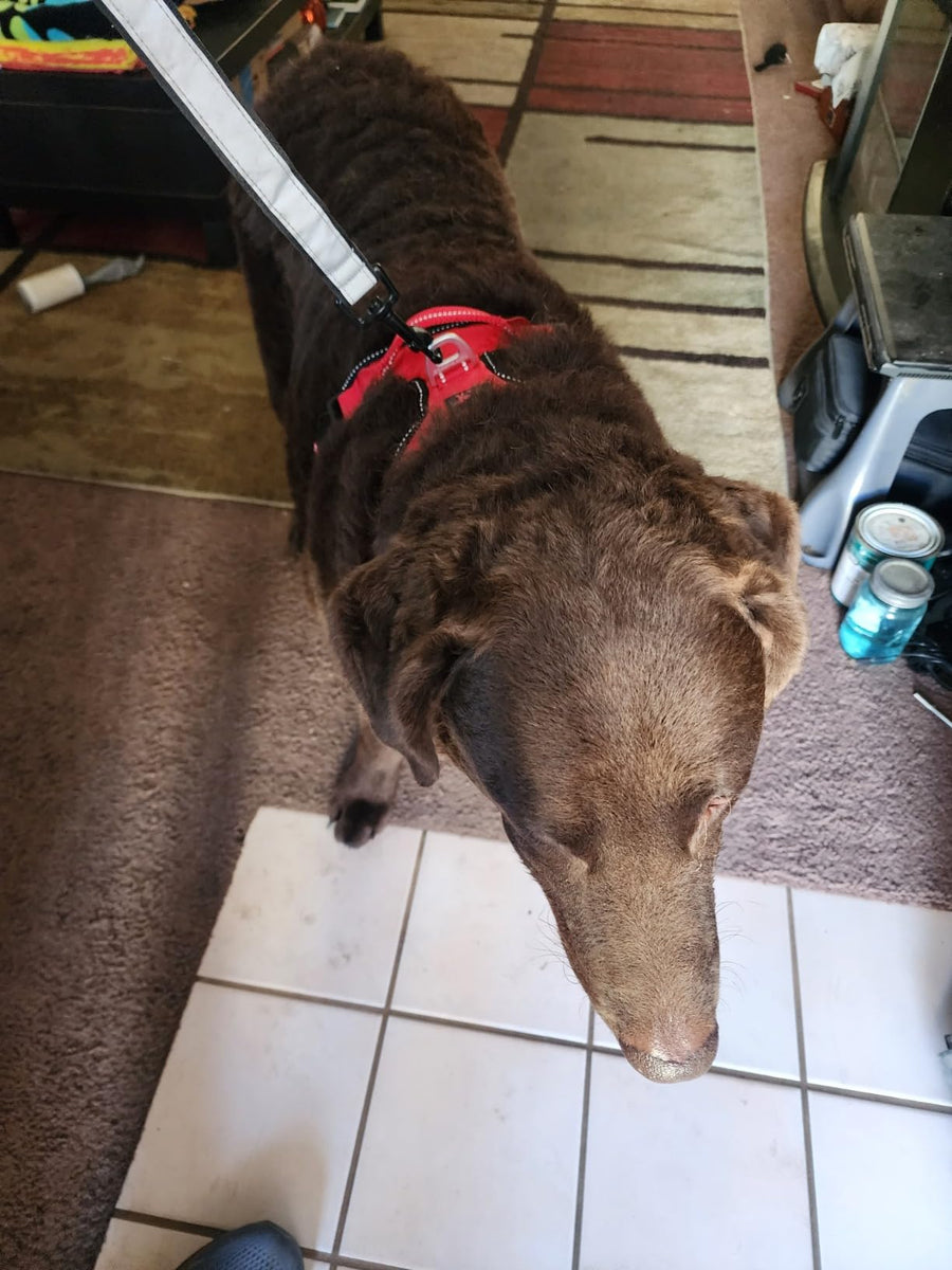 Aleksandra Jasiński