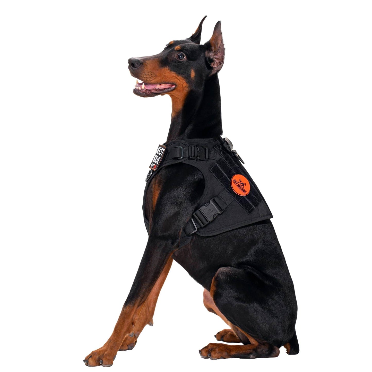 Tactical No Pull Dog Harness