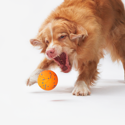 Łapcio | Psotna Piłka Air