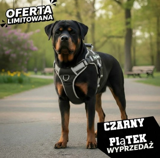 LAPCIO™ | Szelki przeciwciągowe